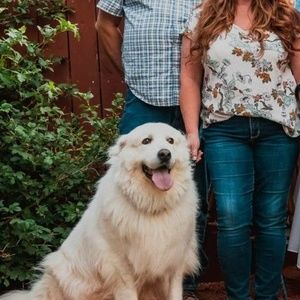 Meet your Posher, Cat